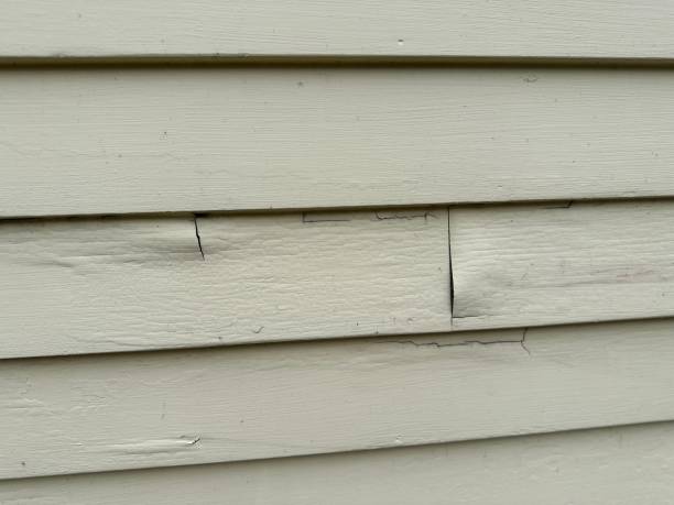 Best Composite Siding  in USA